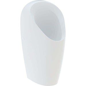 Geberit urinal 116081001 waterless, white